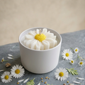 Handgemachte Gänseblümchen-Kerze von LichtleinLiebe in weißem Gefäß auf dunklem Naturgrund, umringt von kleinen Blüten-Details.